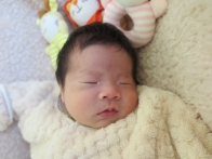 2023年12月ご出産の方