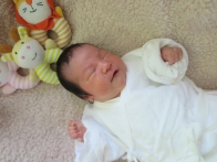 2026年4月ご出産の方