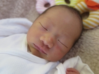 2026年6月ご出産の方