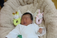 2026年1月ご出産の方