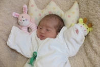 2026年2月ご出産の方