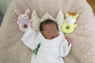 2026年2月ご出産の方