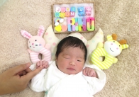 K.S. 様